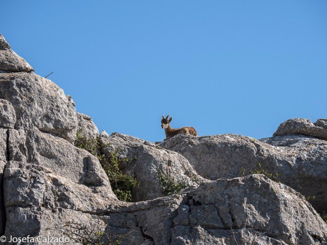 El Torcal