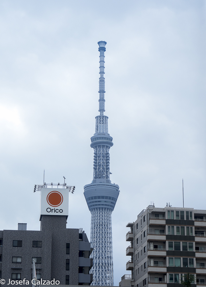 Torre Tokyo Skytree
