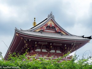 Detalle tejado del salón Bentendo