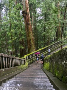 Otro detalle de las escaleras del recorrido