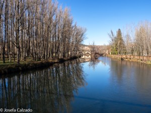 Detalle del Duero y el paseo desde el puente medieval