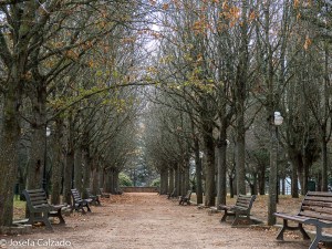 Paseo hacia el mirador de San Saturio