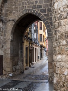Detalle Puerta de la Villa