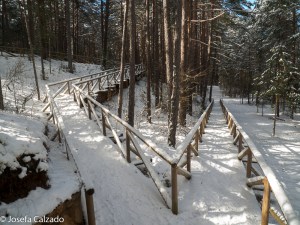 Pasarelas hacia la base de la cascada