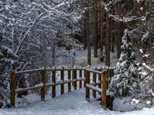 Puente de madera de acceso al parking