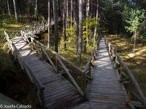 Pasarelas hacia la base de la cascada