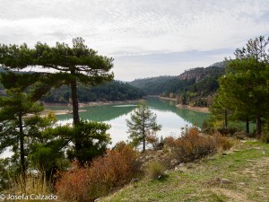 Detalle del tramo izquierdo del embalse de la Toba