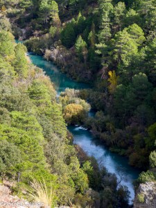 Detalle del rio Júcar