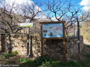 Inicio ruta Cascadas de las Nogaledas