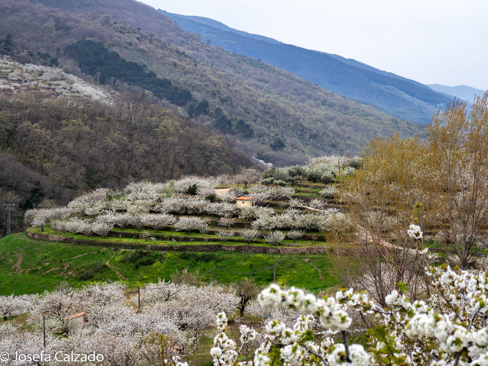 Detalle del valle del Jerte