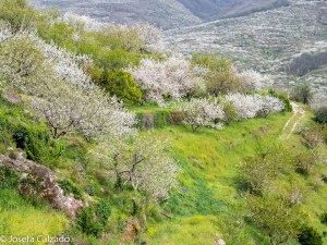 Panorámica del valle y sus terrazas