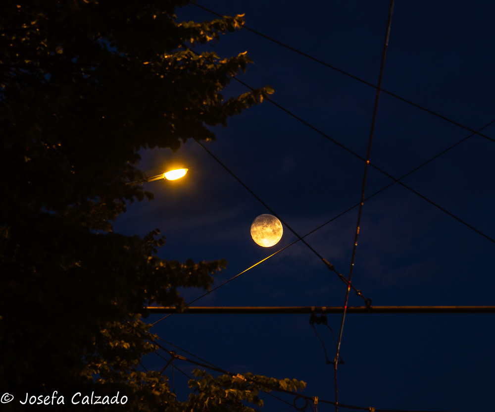 Luna llena de julio