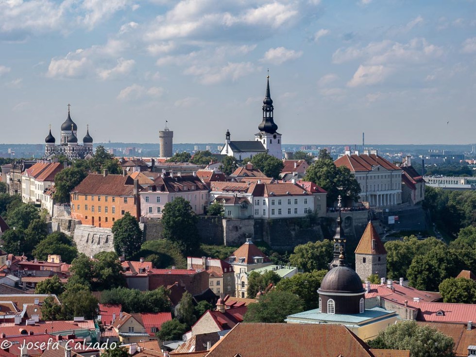 Tallin, vista de la ciudad alta