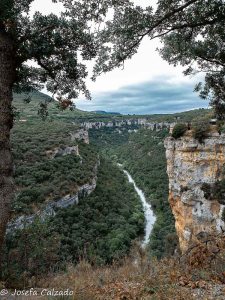 Vista desde el primer mirador