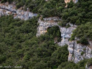 Detalle calizas cretácicas de la Lora