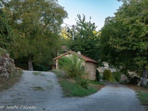 División de caminos