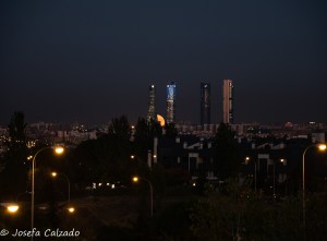 Asomando tímidamente