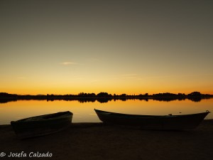Contraluz