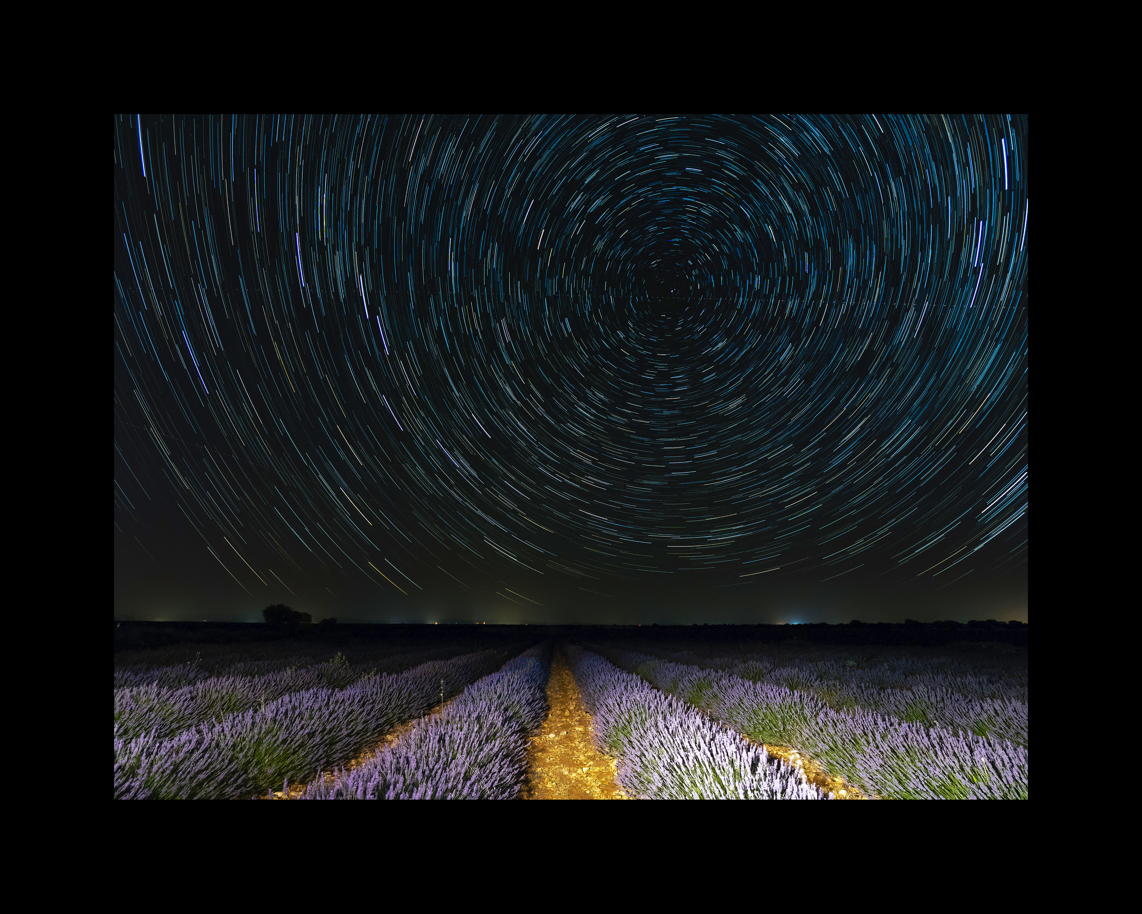 Circumpolar en los campos de lavanda de Brihuega