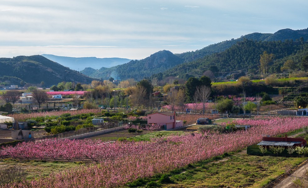 Vista panorámica de los campos desde Cieza