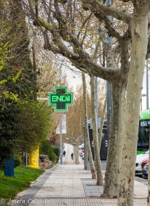 Detalle Avenida de España