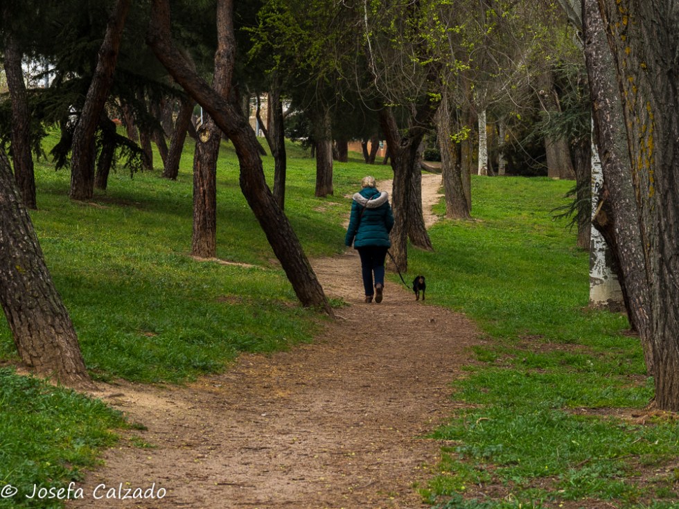 Paseando al perro