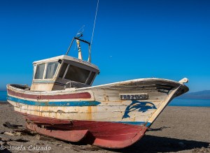 Barco pesquero