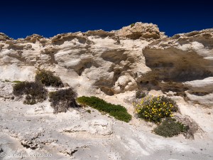 Detalle duna fosilizada