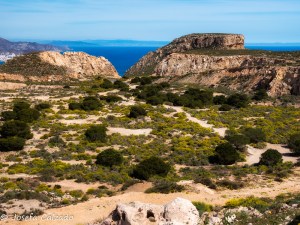 Arrecife de Mesa Roldán