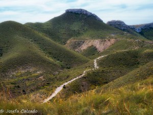 Camino al paraiso