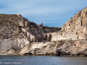 Antiguo Cargadero de Mineral