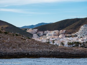 Vista del pueblo de Carboneras y en primer plano Isla de San Andrés