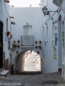 Arco Plaza