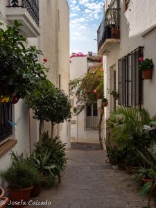 Calle Rosales