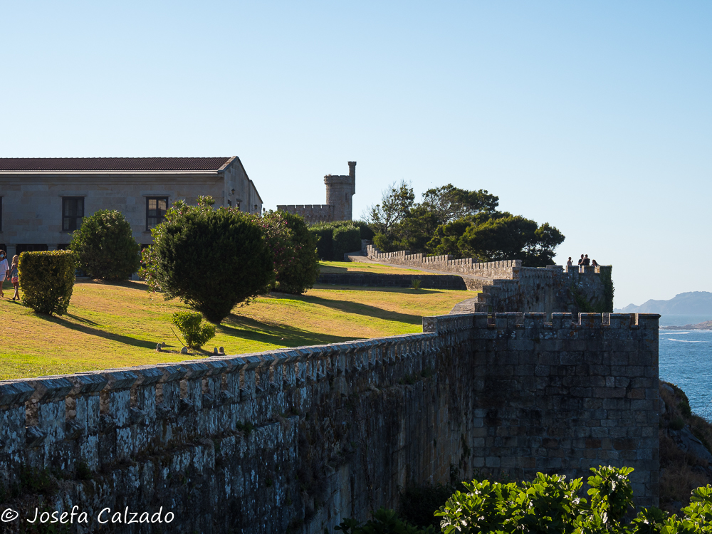 Detalle de las murallas