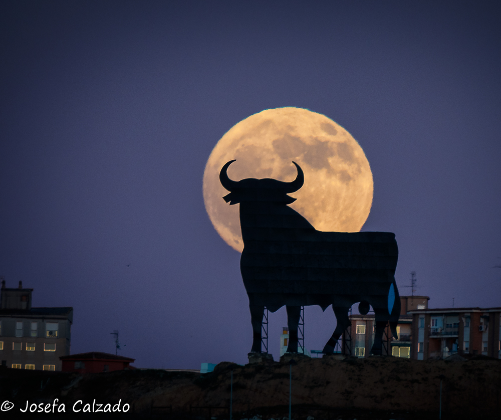 La luna y el toro