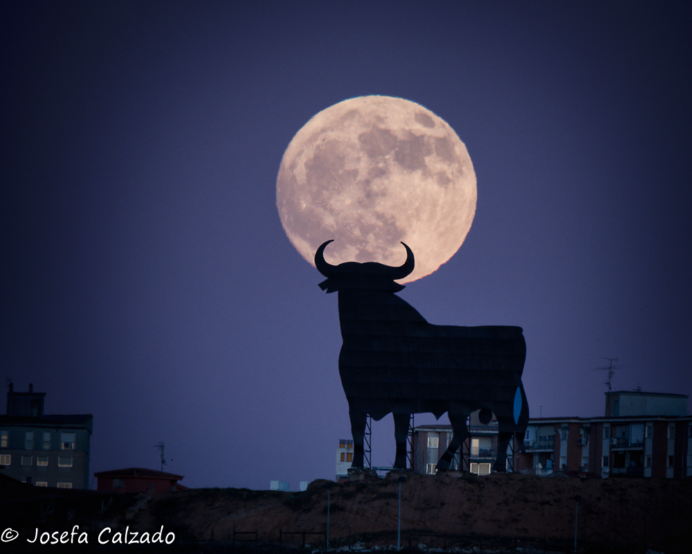 La luna y el toro II