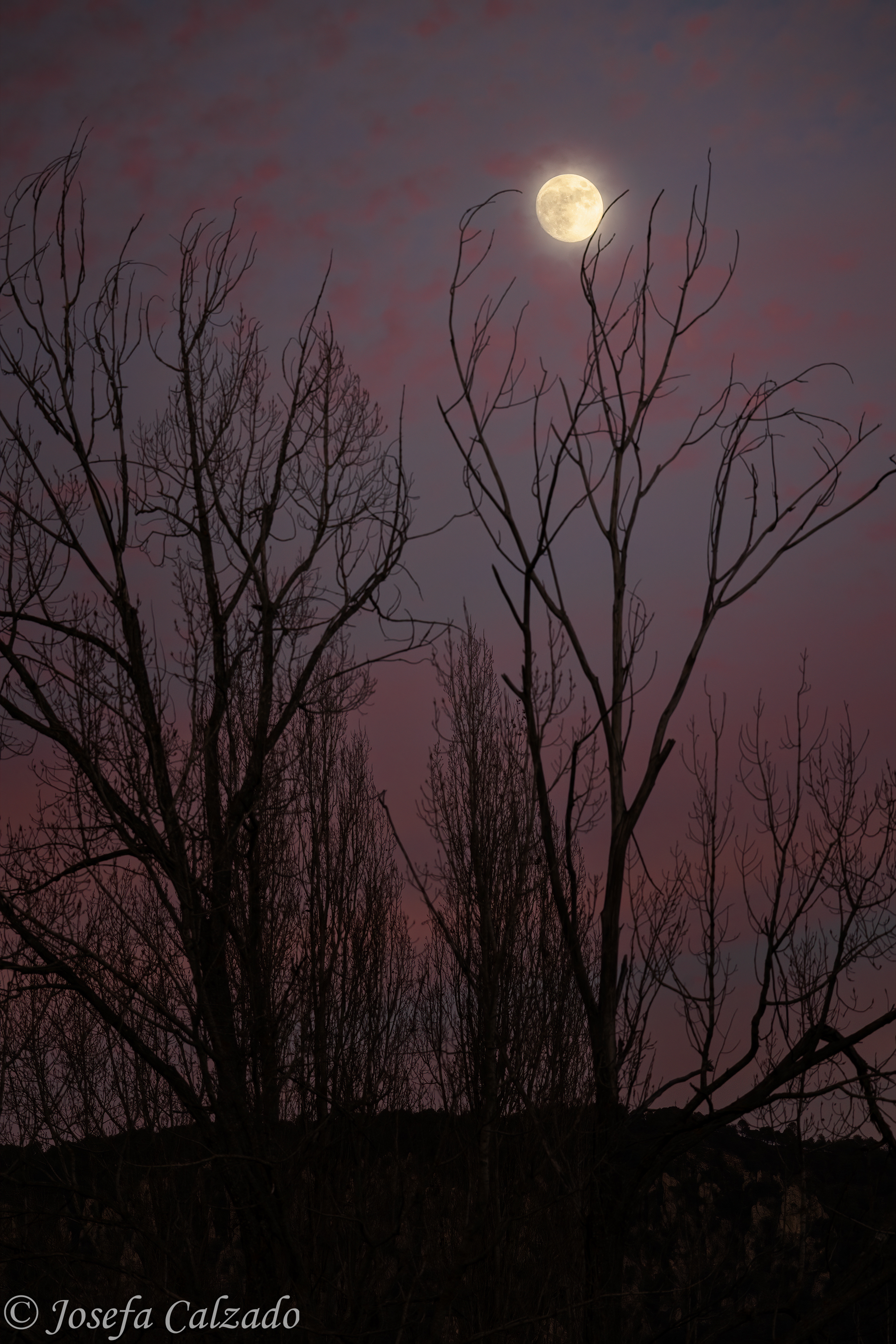 Luna llena al atardecer