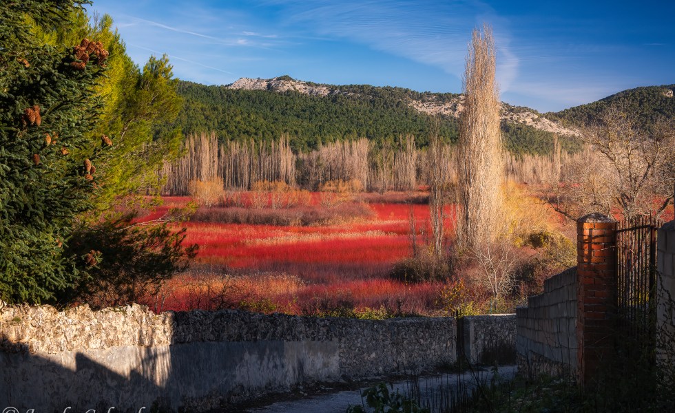 Amanecer en los campos de mimbre