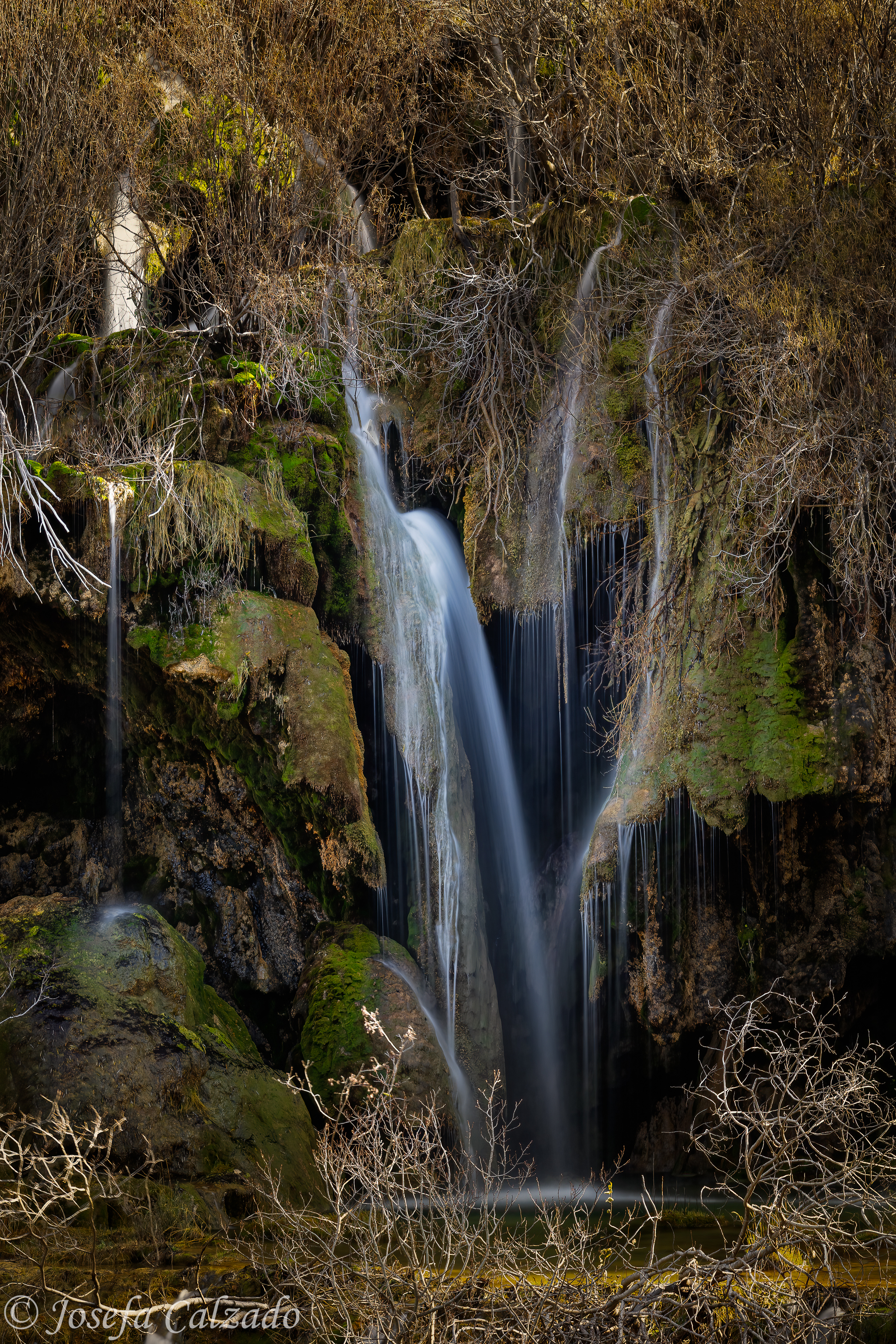 Escondida en la naturaleza