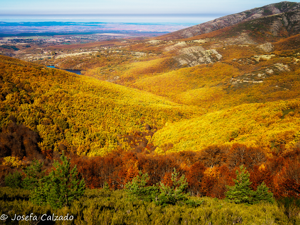 Panorámica del Hayedo de la Pedrosa