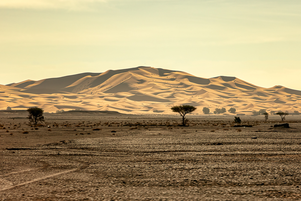 Hora dorada en las dunas del desierto de Erg Chebbi