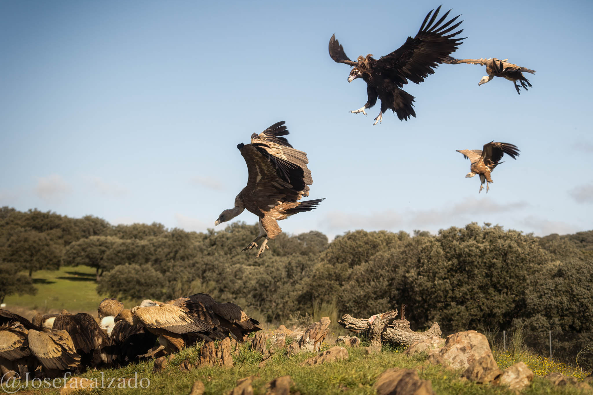 Iniciando la aproximación
