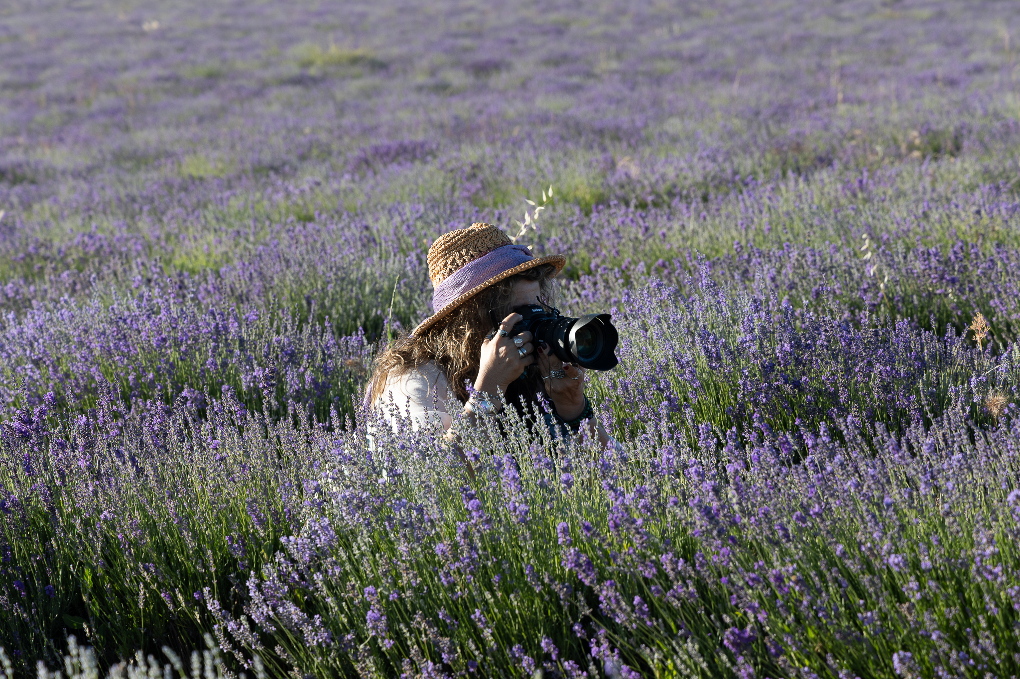 Escondida entre la lavanda