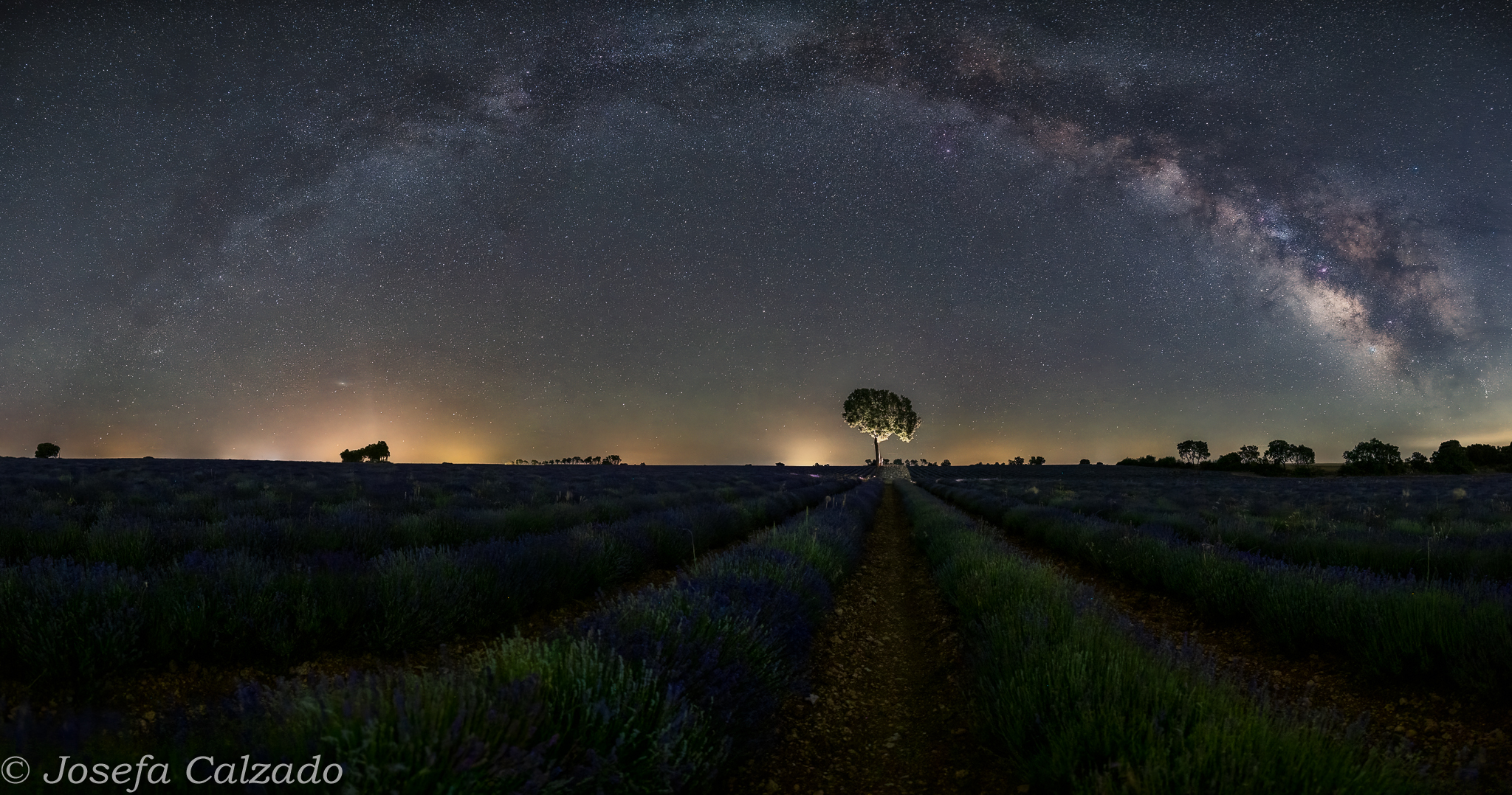 Arco de la Vía Láctea sobre los campos de lavanda