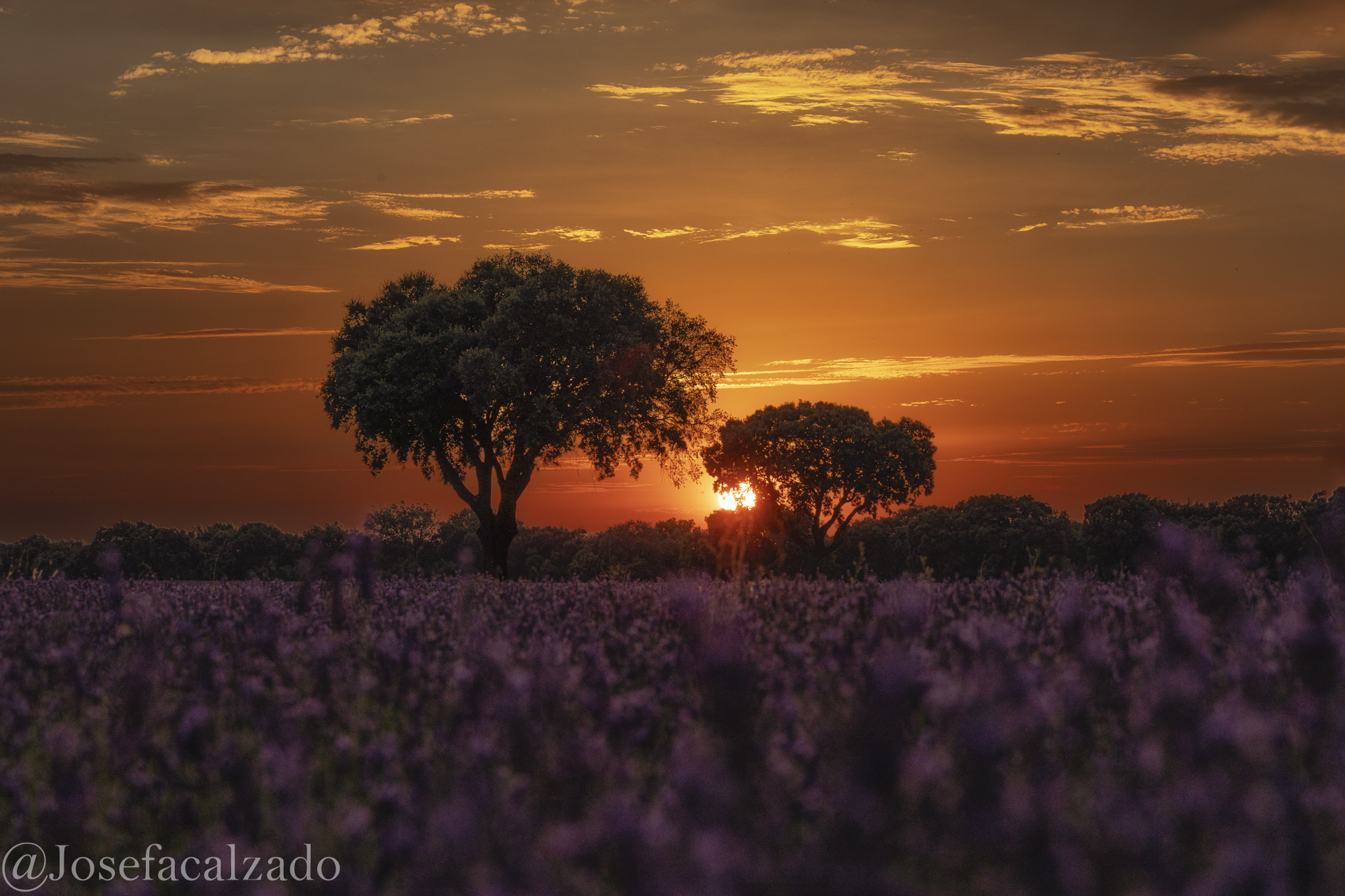 Atardecer