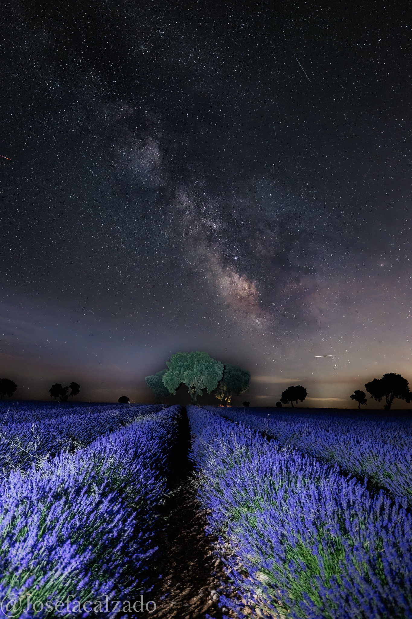 Vía Láctea sobre campos de lavanda