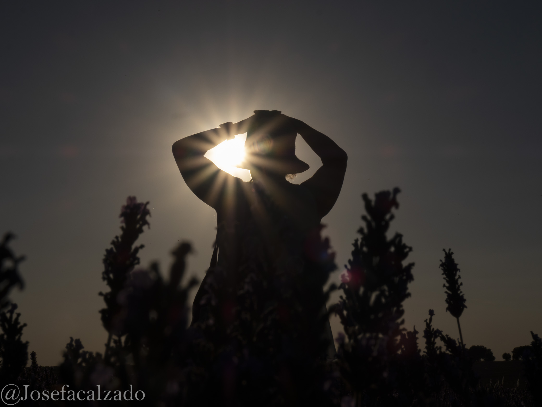 Capturando el sol