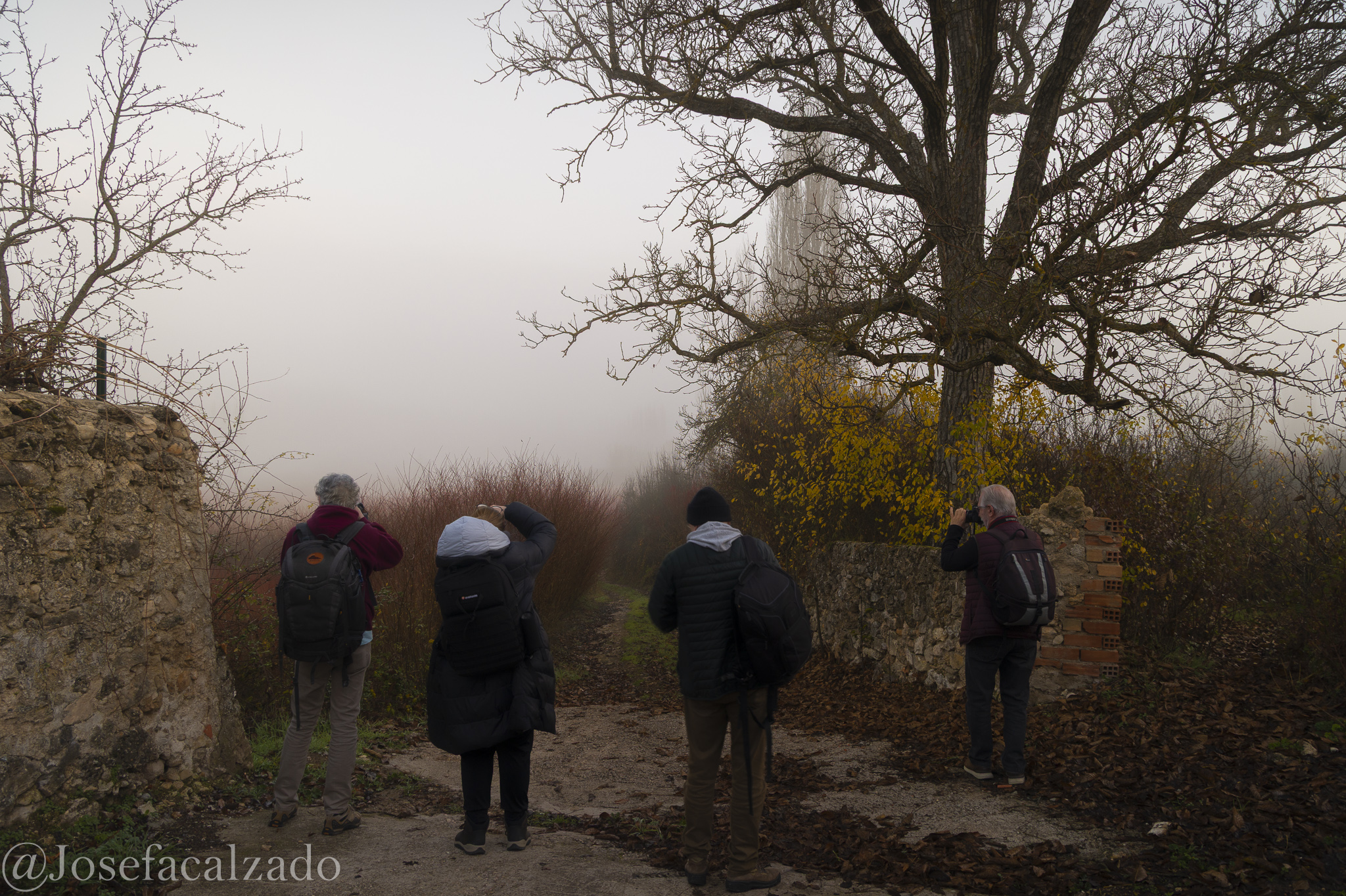 Buscando el encuadre