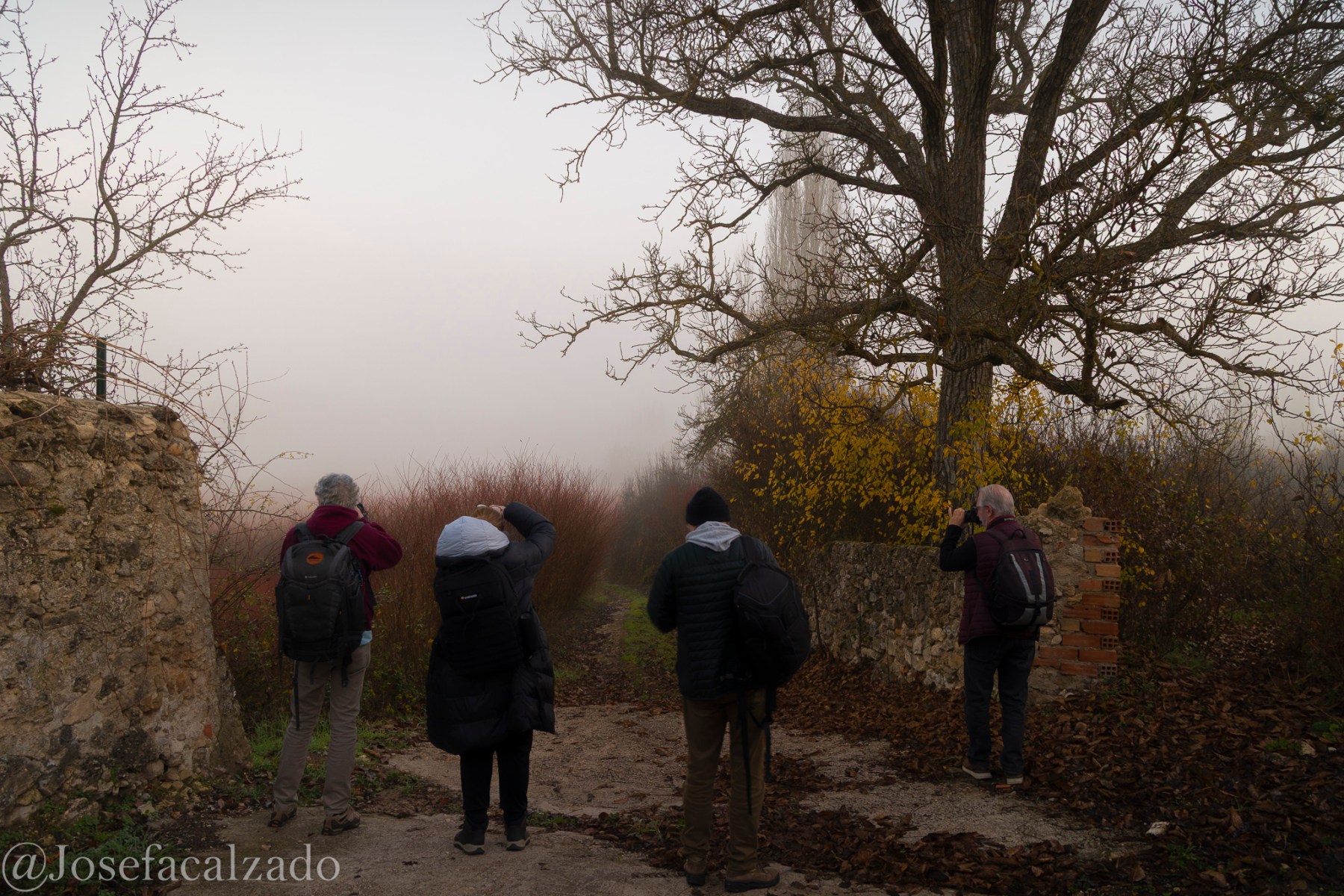 Buscando el encuadre